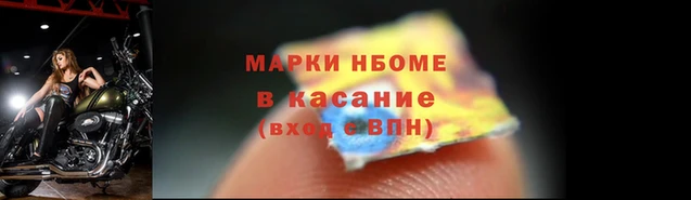 гидропоника Новозыбков