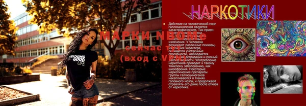 стафф Новокубанск