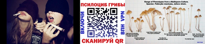 Галлюциногенные грибы Psilocybine cubensis  как найти   Приозерск 